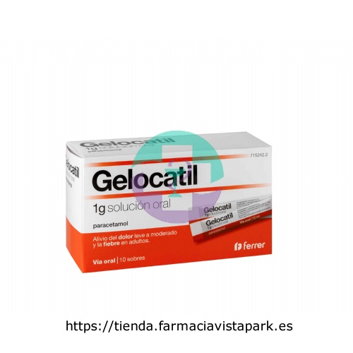 GELOCATIL 1 g SOLUCION ORAL,10 sobres