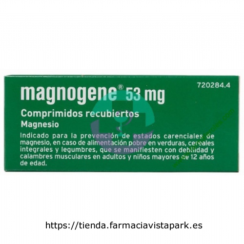 MAGNOGENE 53 mg COMPRIMIDOS RECUBIERTOS, 45 comprimidos