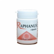 Raphanus  300 capsulas vegetales